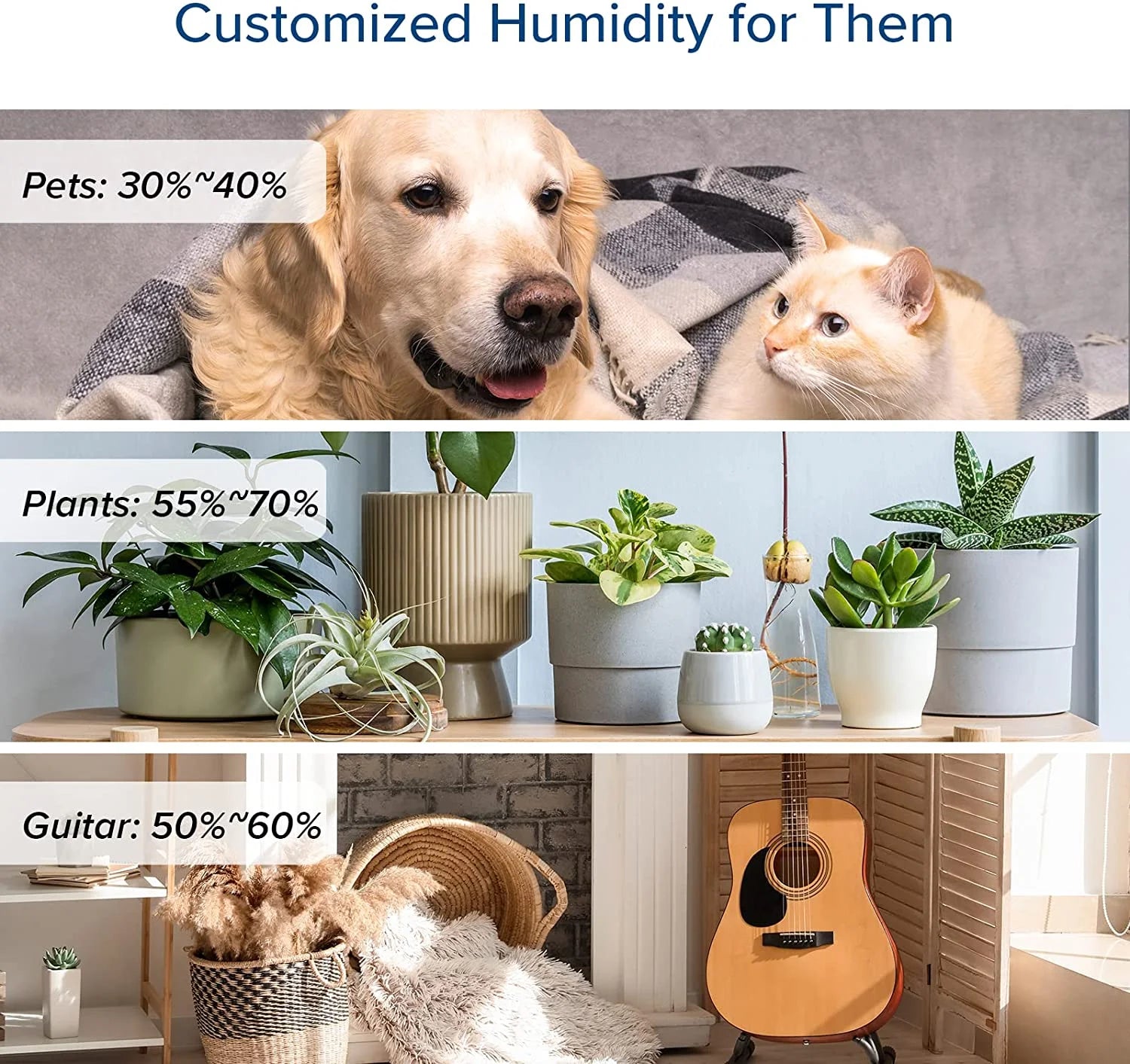 Cool Mist Humidifier for Room
